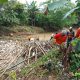 sampah bambu sumbat sungai Cikeas