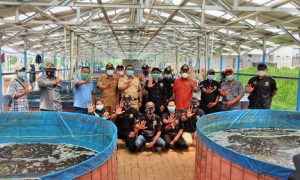 Camat Rumpin Rusliansy didampingi pengurus yayasan Transformasi Anak Bangsa saat meninjau lokasi budi daya ikan dalam ember di Desa Sukamulya.