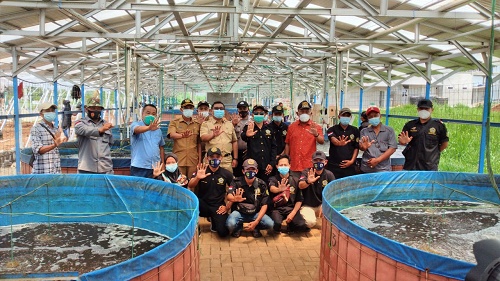 Camat Rumpin Rusliansy didampingi pengurus yayasan Transformasi Anak Bangsa saat meninjau lokasi budi daya ikan dalam ember di Desa Sukamulya.