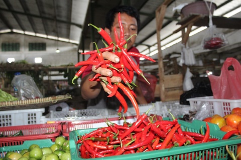 cabai rawit