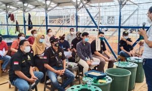 pelatihan budikdamber