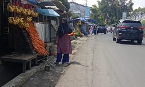 penjual wortel