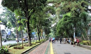 Pemerintah Kota Bogor kini sedang giat membangun akses-akses publik yang ramah terhadap penyandang Disabilitas, seperti trotoar dan fasilitas publik lainnya. Hal ini untuk memudahkan para Disabilitas melakukan aktivitasnya tanpa perlu khawatir. Pemkot Bogor juga menargetkan pembangunan akses-akses publik lainnya yang dapat digunakan untuk penyandang Disabilitas, seperti angkutan umum,tangga khusus penyandang Disabilitas, serta semua layanan publik ada tempat khusus bagi mereka.