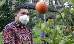 Sekretaris Komisi II DPRD Provinsi Jawa Barat Yunandar Eka Perwira. (Foto : Sidiq /Humas DPRD Jabar).