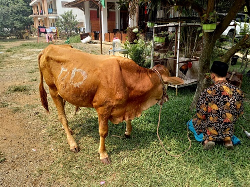 Kp Sukasari lama desa Tenjo kec. Tenjo kab. Bogor