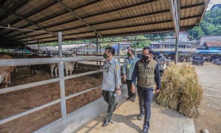 Wali Kota Bogor Bima Arya mendampingi Menteri Pertanian Syahrul Yasin Limpo (SYL) memantau ketersediaan hewan kurban hingga meninjau kesiapan Rumah Potong Hewan (RPH) di Kota Bogor, Kamis (15/7/2021).