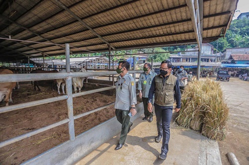 Wali Kota Bogor Bima Arya mendampingi Menteri Pertanian Syahrul Yasin Limpo (SYL) memantau ketersediaan hewan kurban hingga meninjau kesiapan Rumah Potong Hewan (RPH) di Kota Bogor, Kamis (15/7/2021).