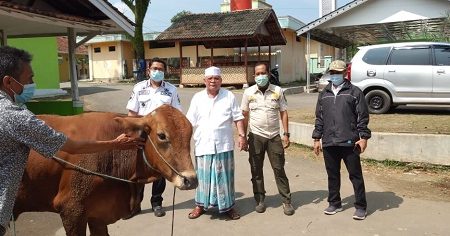 Camat Tenjo Kurnia Indra, saat menyerahkan satu ekor sapi sebagai hewan kurban dari Bupati Bogor untuk Ketua MUI Kecamatan Tenjo.
