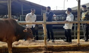 Walikota Bogor Bima Arya tinjau UPTD RPH di Bubulak
