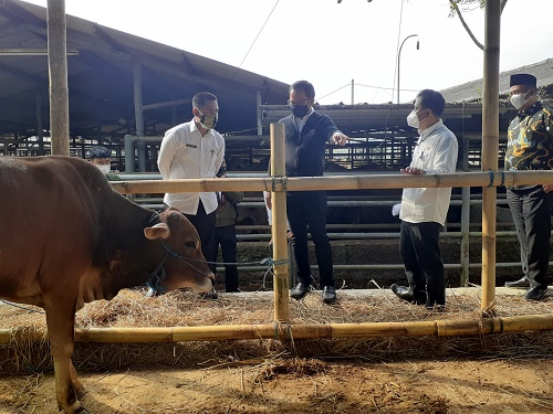 Walikota Bogor Bima Arya tinjau UPTD RPH di Bubulak