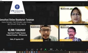 dokter tanaman