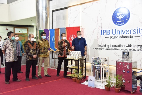 IPB