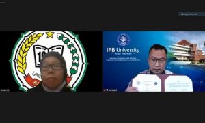 ipb