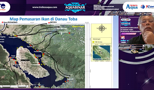 danau toba