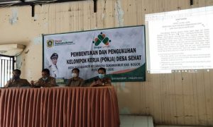 pokja desa sehat