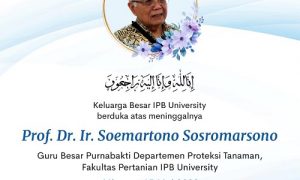 Prof Soemartono Sosrosoemarsono,