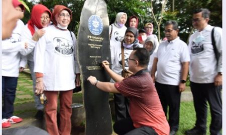 ipb