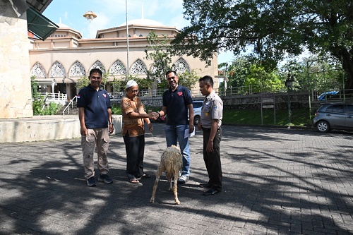 sentul city