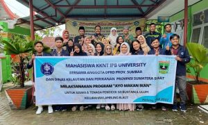 ipb university