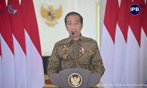 ipb university