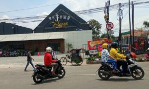 bajawa