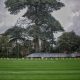 lapangan bola
