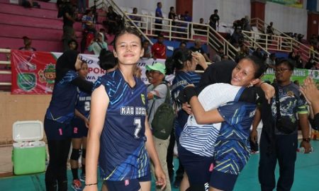 porprov xiv