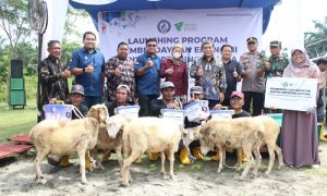 dompet dhuafa