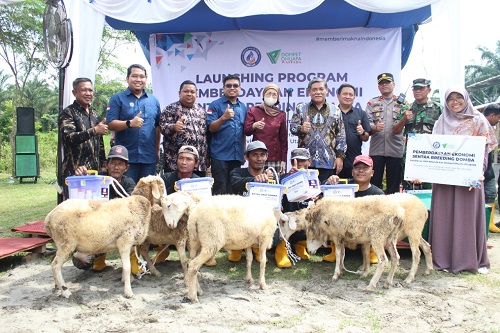 dompet dhuafa