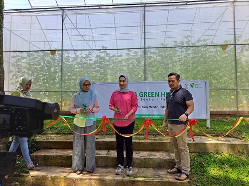 Zona Madina Dompet Dhuafa Panen Perdana Green House Melon