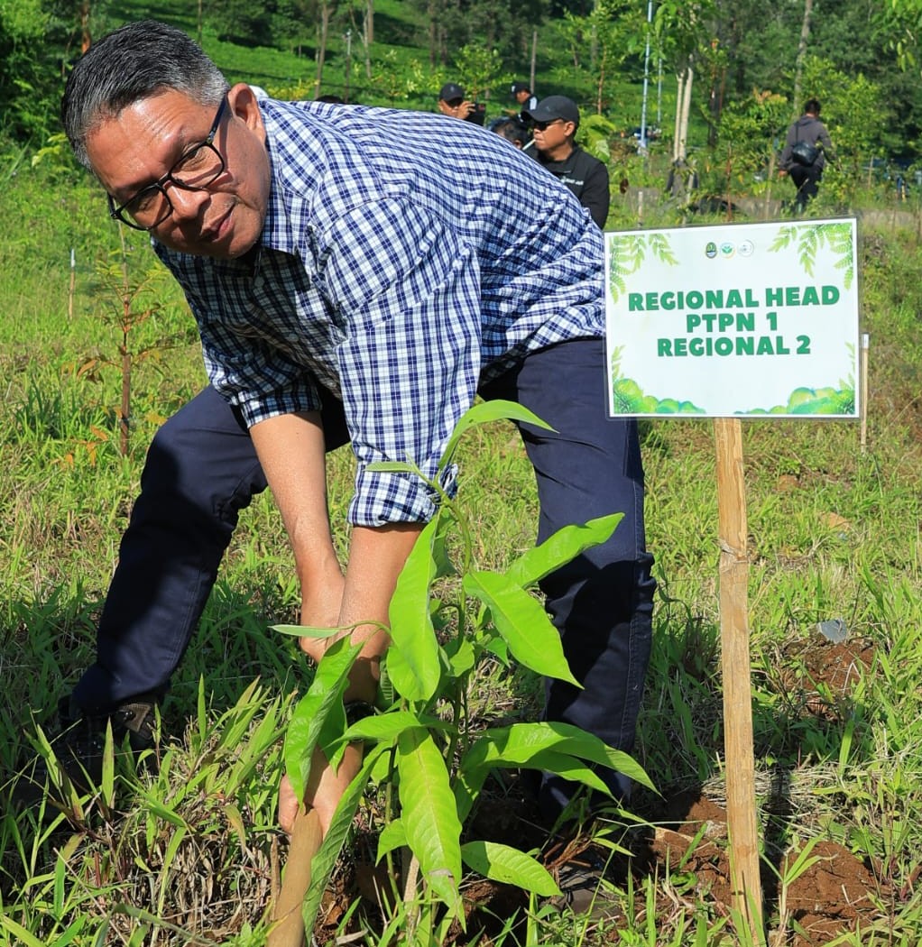 Hampir 21 Ribu Pohon Hijaukan Kembali Eks Hibisc Fantasy Puncak